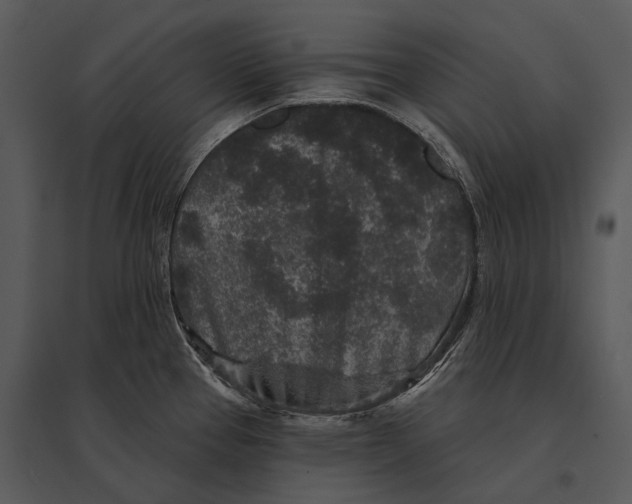 X0000095531337200801041237