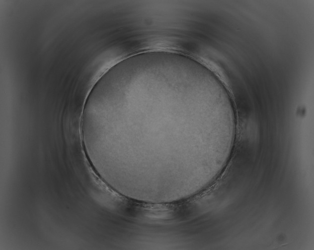 X0000095531338200801041237