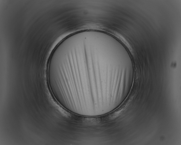 X0000095531339200801041237