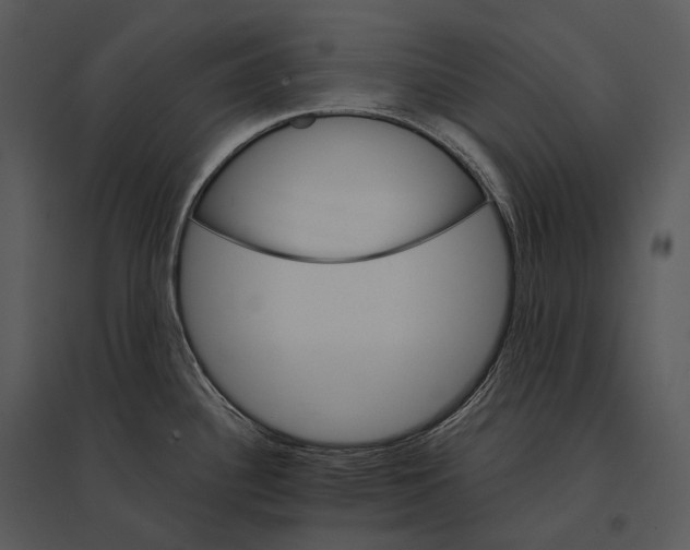 X0000095531340200801041237