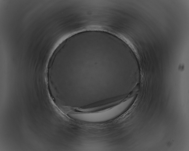 X0000095531342200801041237