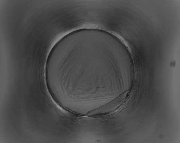 X0000095531343200801041237