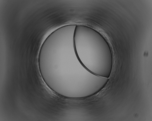 X0000095531344200801041237