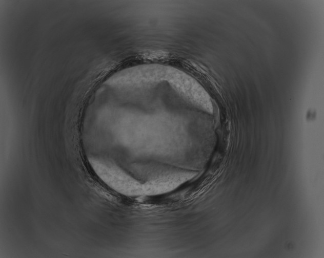 X0000095531345200801041236