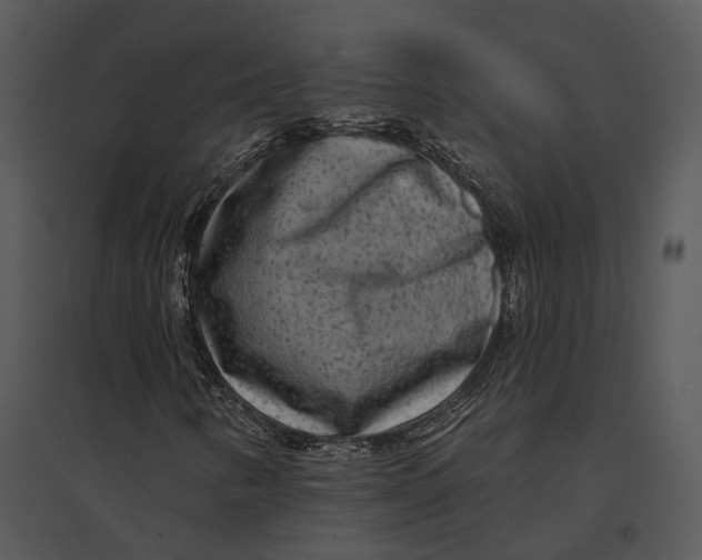 X0000095531346200801041236