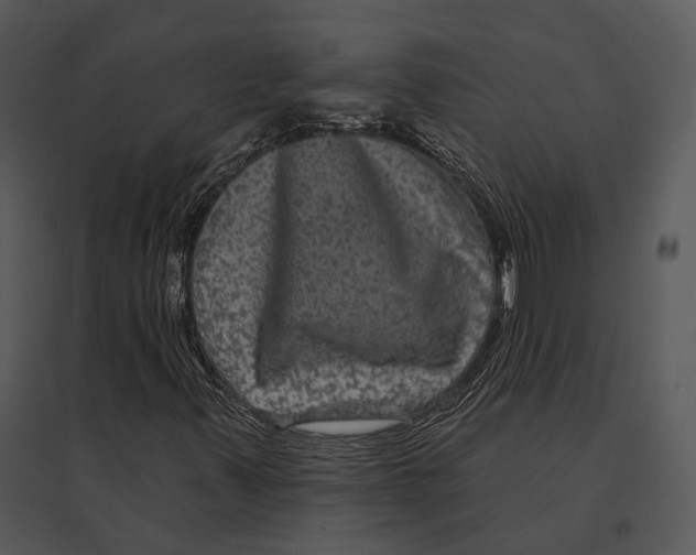 X0000095531347200801041236