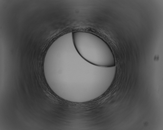 X0000095531348200801041236