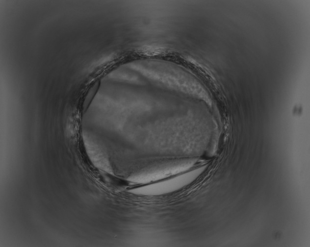 X0000095531349200801041236