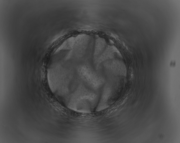 X0000095531350200801041236