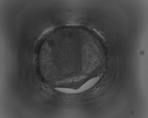 X0000095531351200801041236