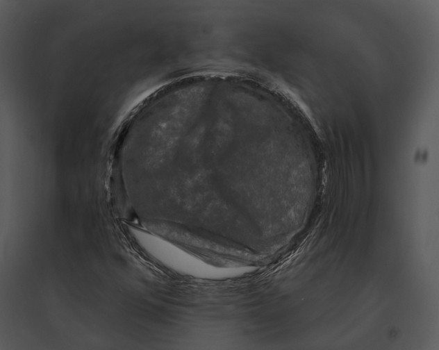 X0000095531352200801041236