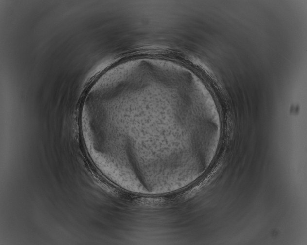 X0000095531354200801041236