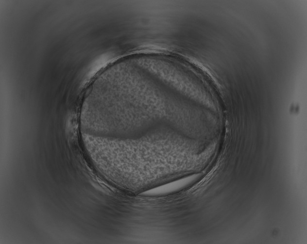 X0000095531355200801041236