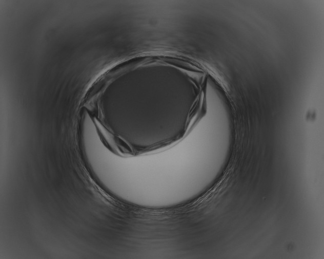 X0000095531356200801041236