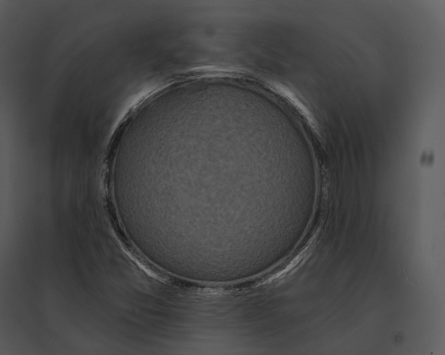 X0000095531357200801041236