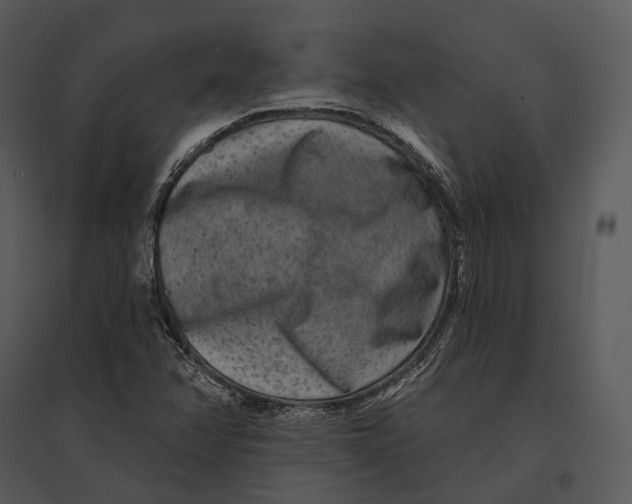 X0000095531358200801041236