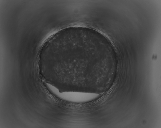 X0000095531359200801041236