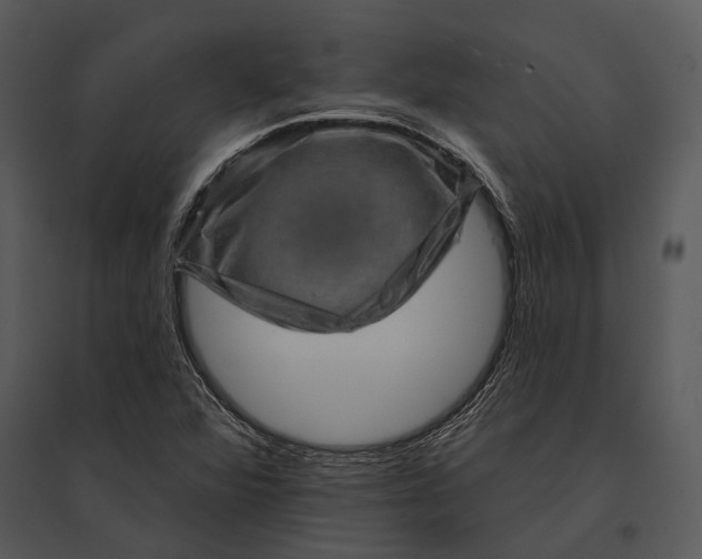 X0000095531360200801041236