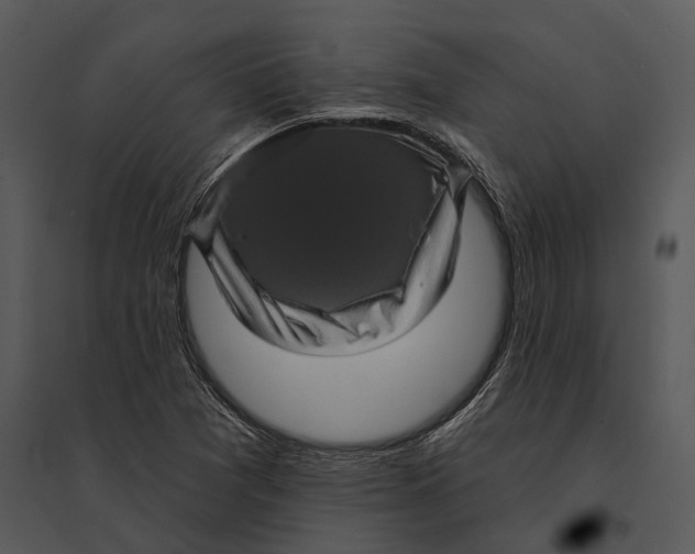 X0000095531361200801041236