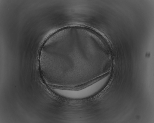 X0000095531363200801041236