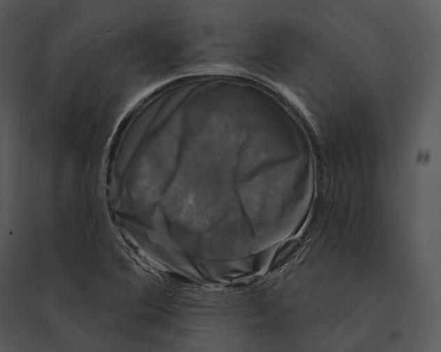 X0000095531364200801041236