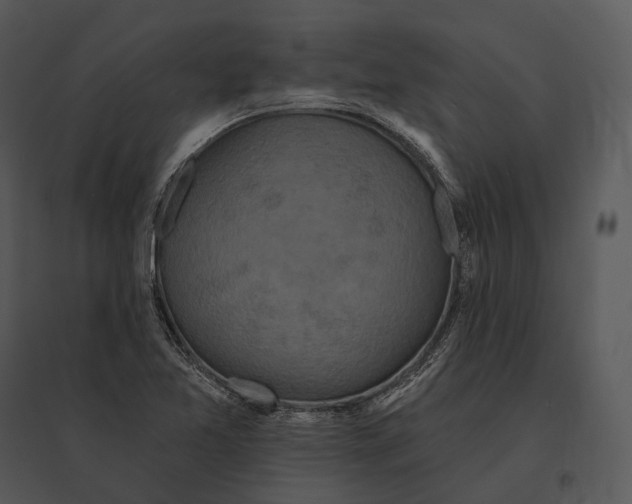 X0000095531365200801041236