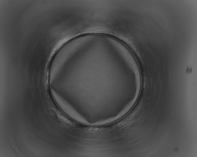 X0000095531366200801041236