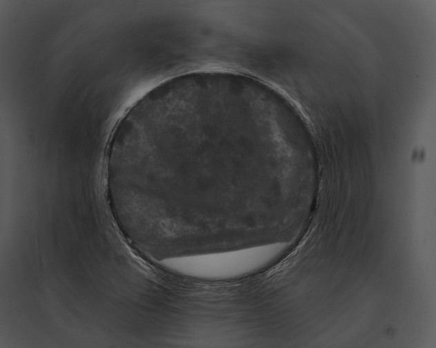 X0000095531367200801041236