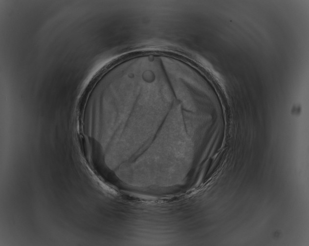 X0000095531368200801041236