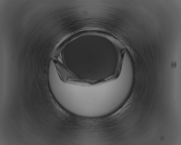 X0000095531369200801041236