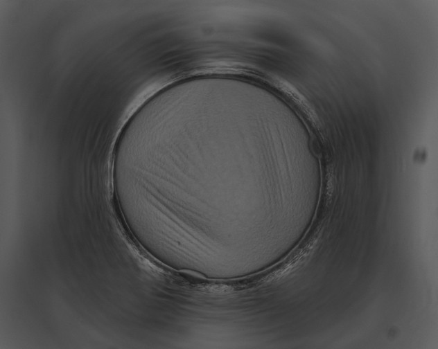 X0000095531370200801041236