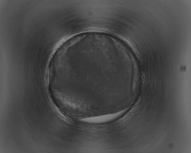 X0000095531371200801041236