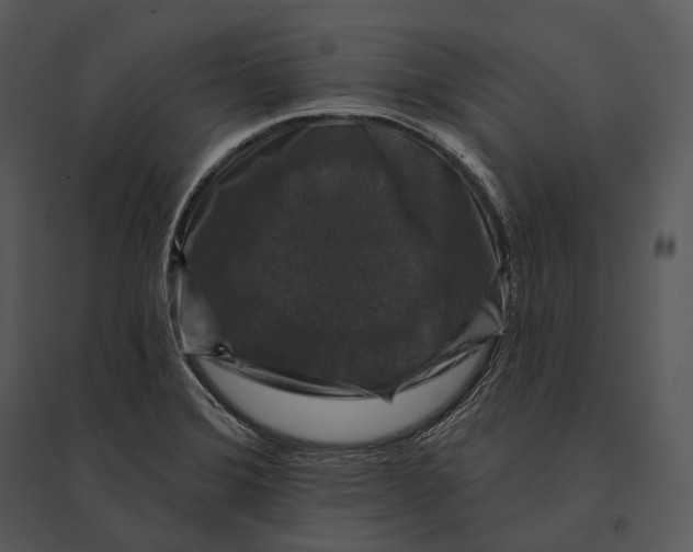 X0000095531372200801041236