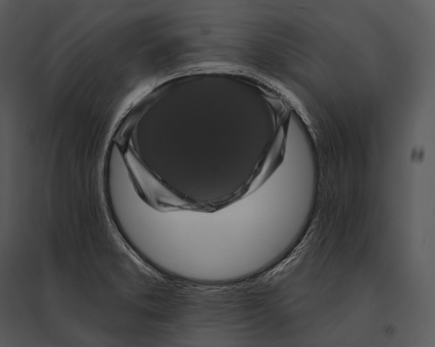 X0000095531373200801041236