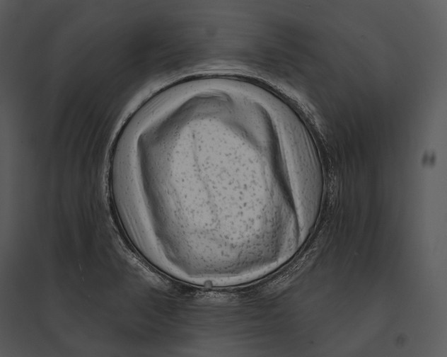 X0000095531374200801041236