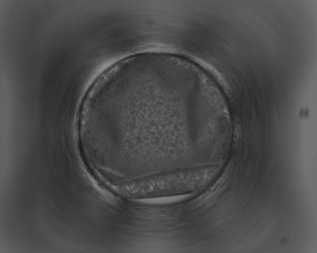 X0000095531375200801041236