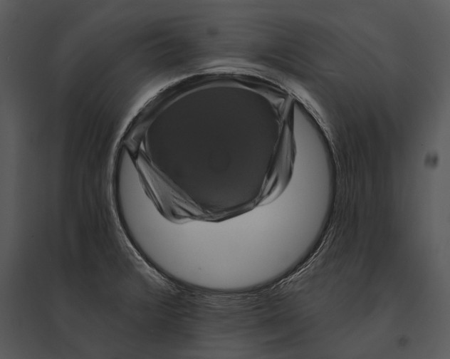 X0000095531376200801041236