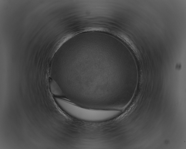 X0000095531377200801041236