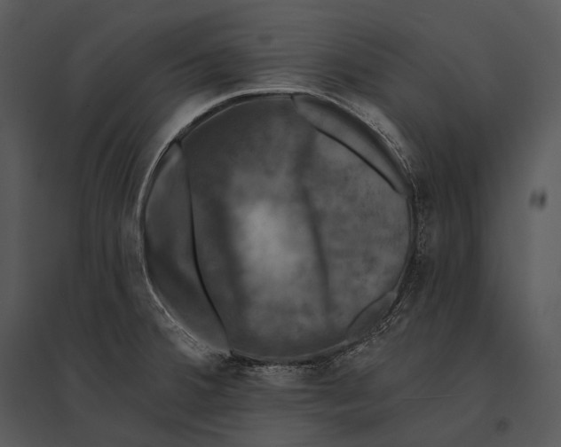 X0000095531380200801041236