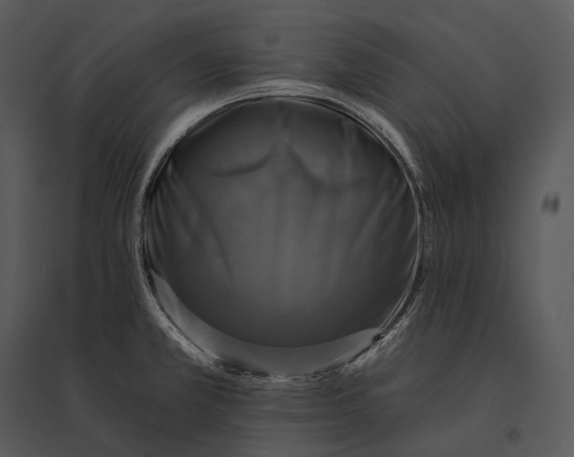 X0000095531381200801041236