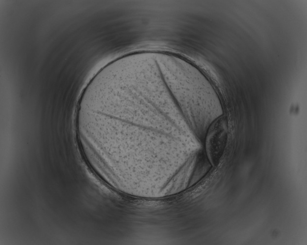 X0000095531382200801041236