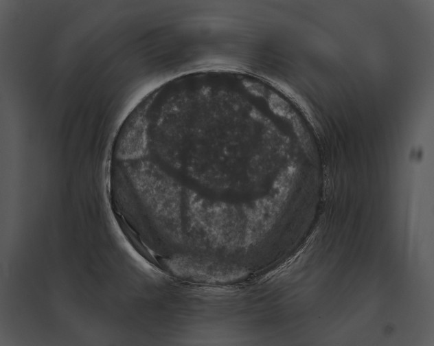 X0000095531383200801041236