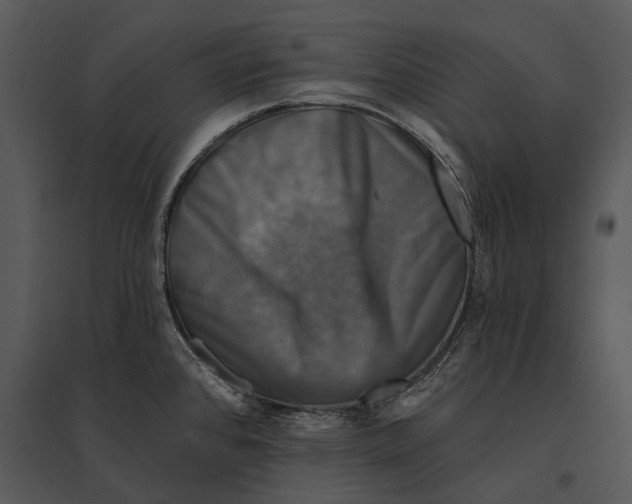 X0000095531384200801041236