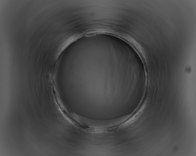 X0000095531385200801041236