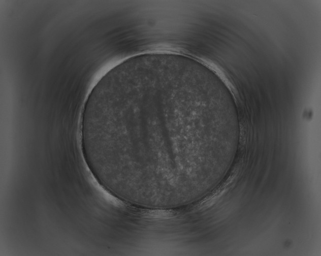 X0000095531387200801041236