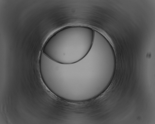 X0000095531388200801041236