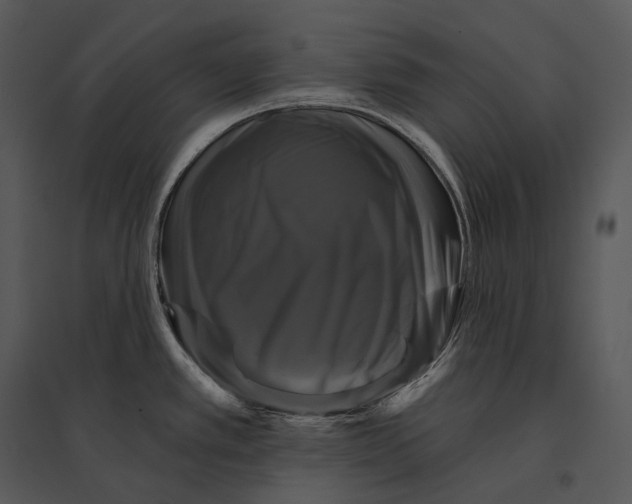 X0000095531389200801041236