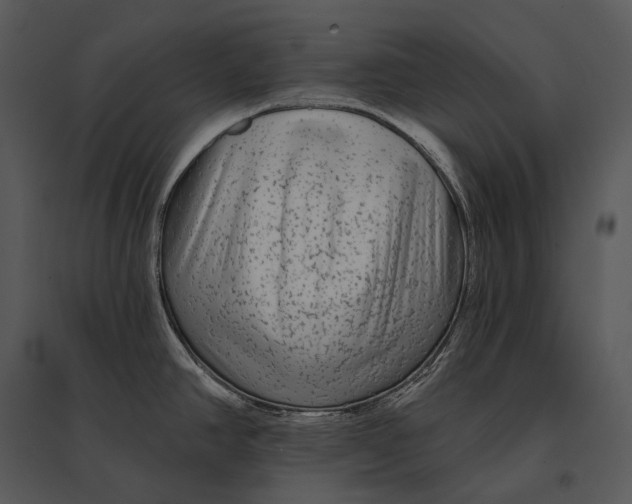 X0000095531390200801041236