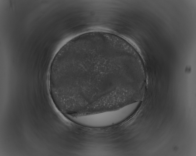 X0000095531391200801041236