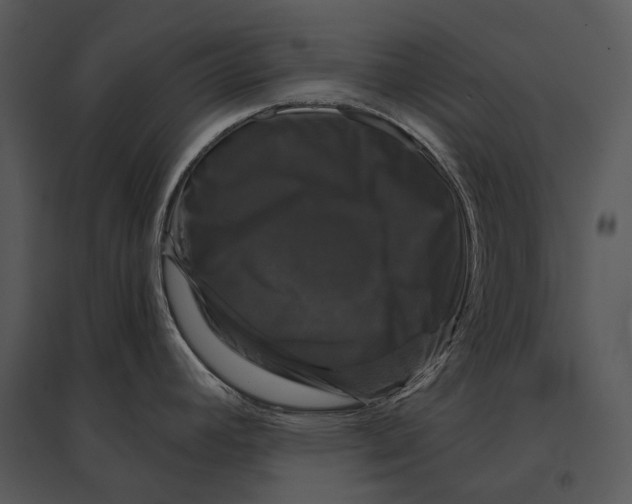 X0000095531392200801041236